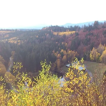 公寓 Holiday Seidl Kirchberg (Bavaria)